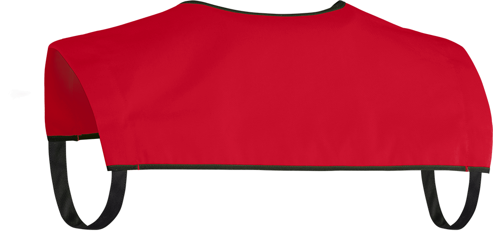 KENNZEICHNUNGSKOLLER