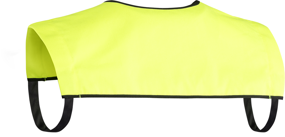 IDENTIFICATION COLLAR