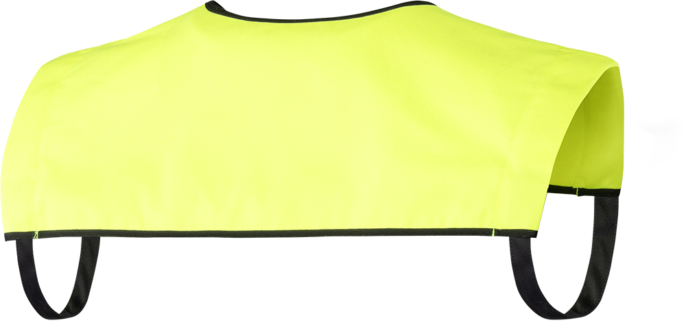 IDENTIFICATION COLLAR