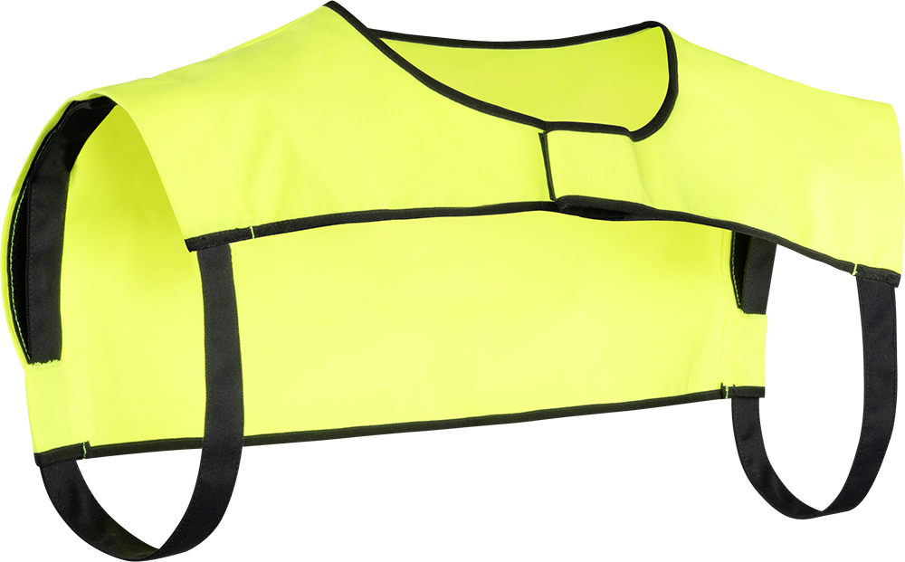 IDENTIFICATION COLLAR